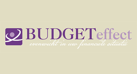 Budgeteffect